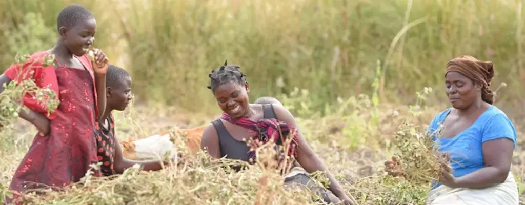 Meet 20 Entrepreneurs Restoring Land in Malawi