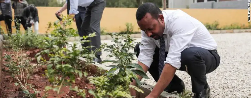 Ethiopia plants more than 350 million trees in 12 hours
