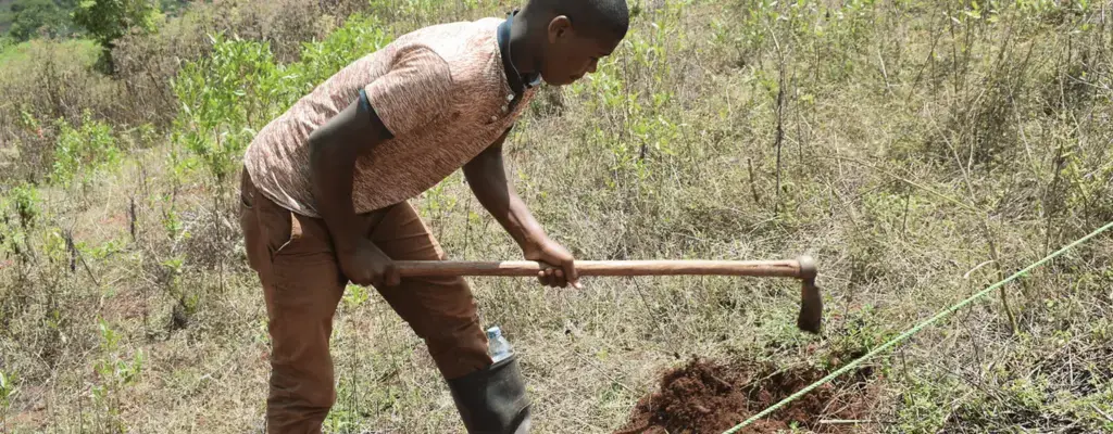 Tanzania: 100,000 Trees in the ground with One Tree Planted
