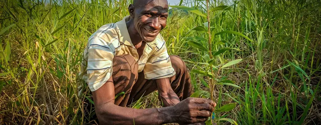 La restauration des terres dans le bassin du Congo : un long voyage déjà commencé