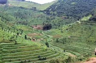 Restoration interventions in Sebeya Catchment, Rwanda