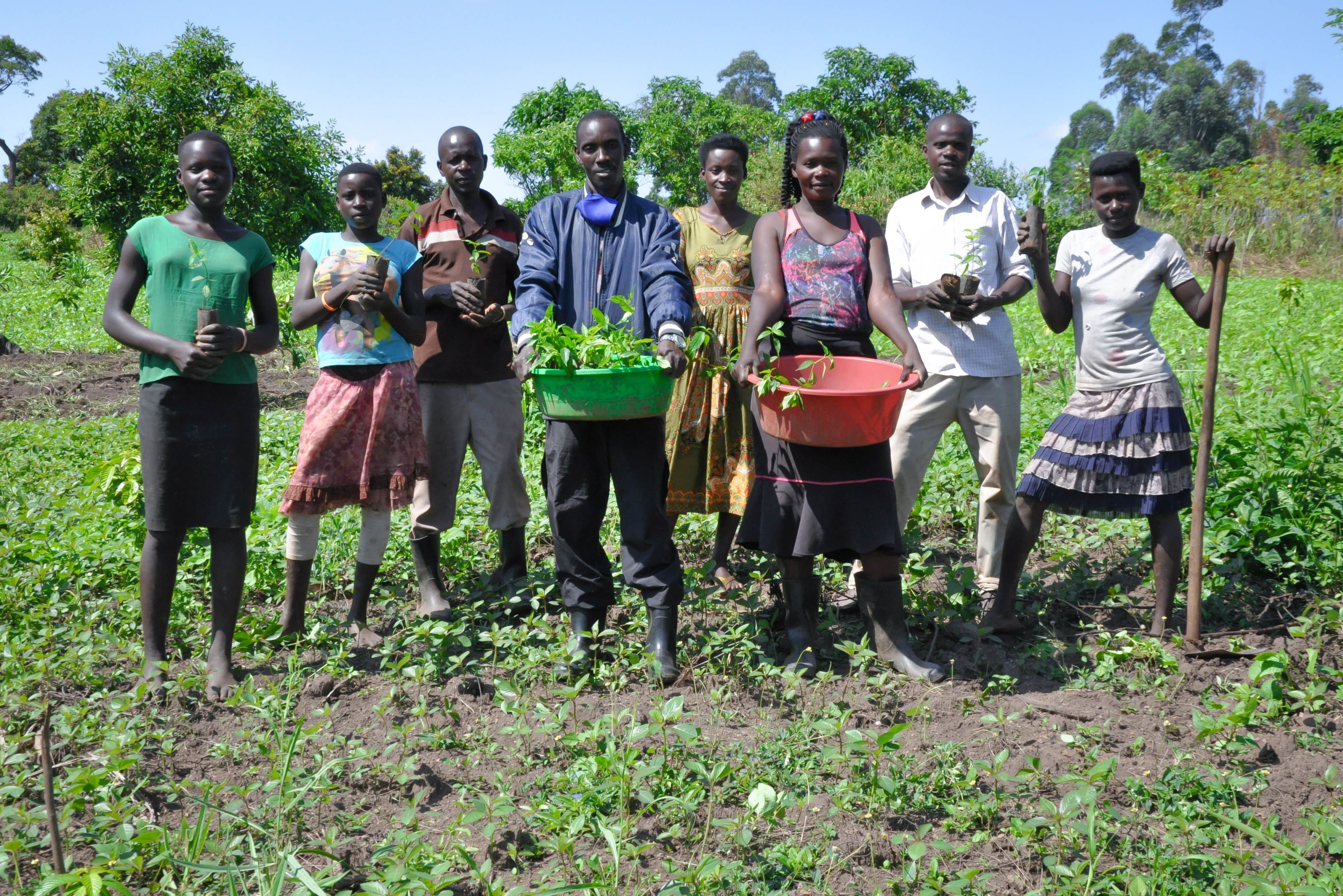 Mr. Mujuni and his family planting trees in Katanga parish