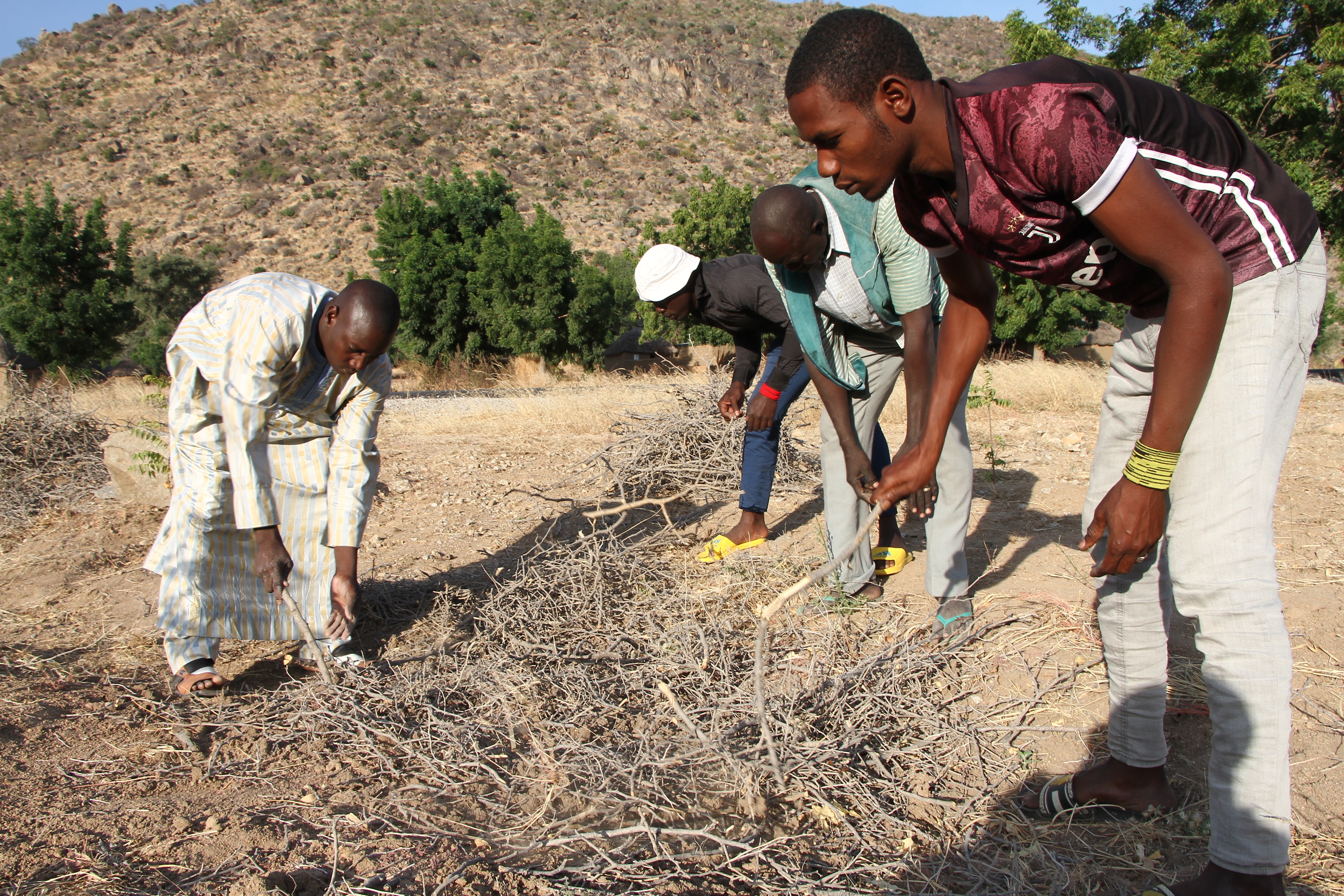 Youth is engaged in restoring dry lands of Cameroon