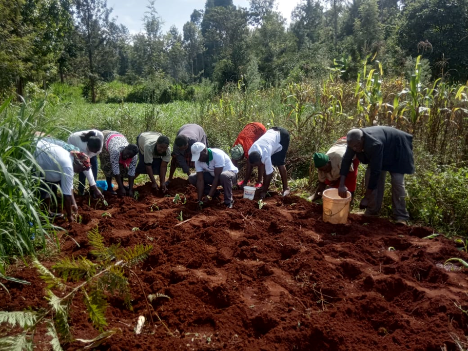 Harnessing Technology For Climate-Resilient Farmers in Kenya