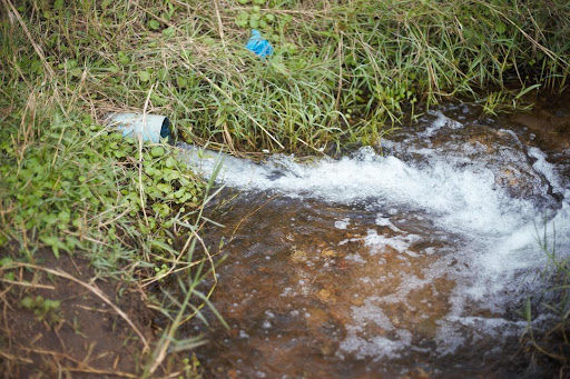 River- and stream-bank restoration