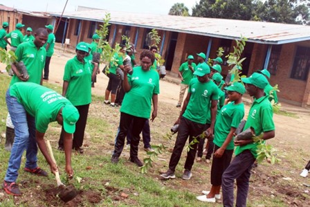 Tree Planting in Burundi