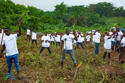 Photo: Forest-Action in the Gnéby-Tiassa region