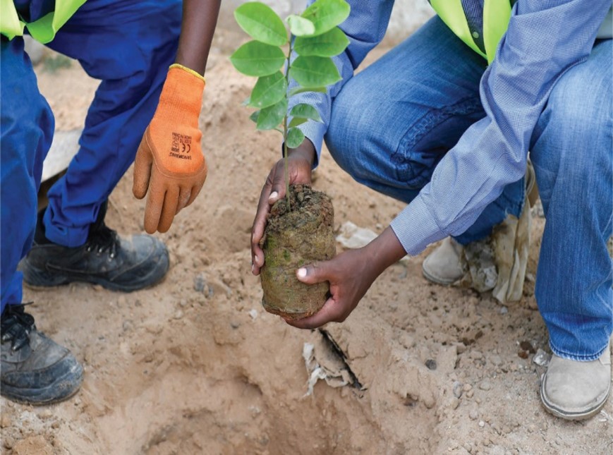 Photo: Tree Planting events are more often in Somalia 