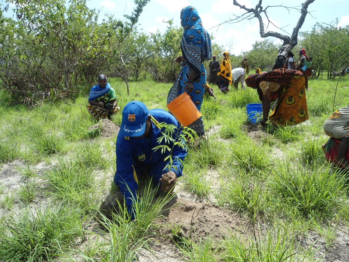 Photo: A tree planting exercise by Coastal Communities in Tanzania