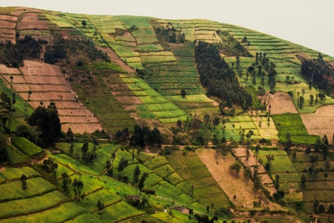 Ecological Agriculture is a priority in Burundi