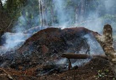 Photo: Burning charcoal in Taiama, Moyamba District (Photo: J. Arevalo)