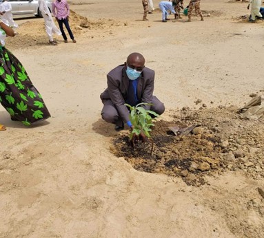 One tree for every Chadian