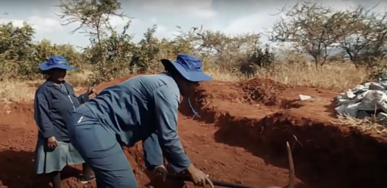 Restoring Land in Eswatini