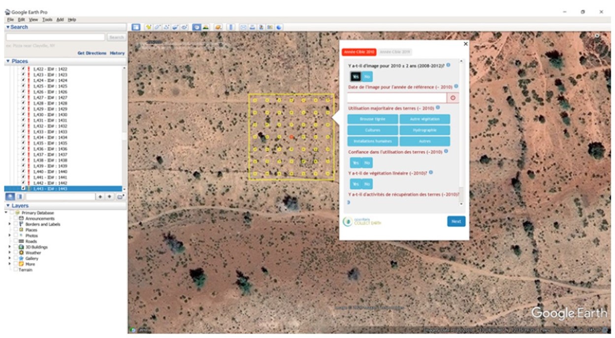 Collect Earth Sample Grid