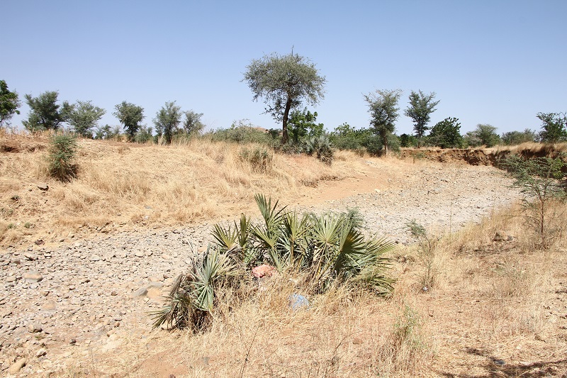 Dry riverbed