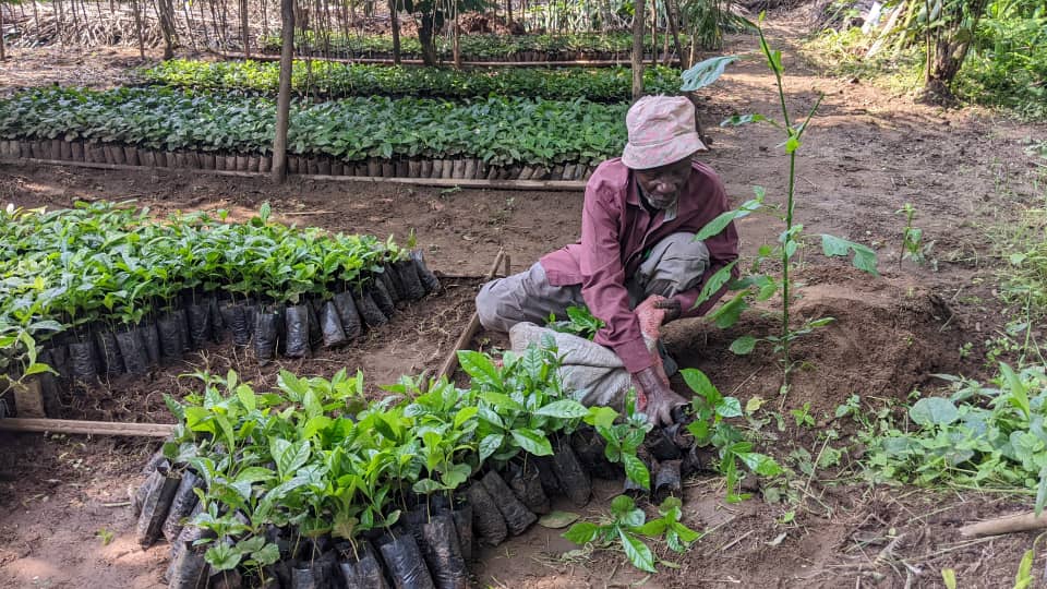 Member of cooperative is ready to plant