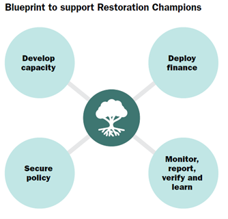 Blue Print-Restore Local