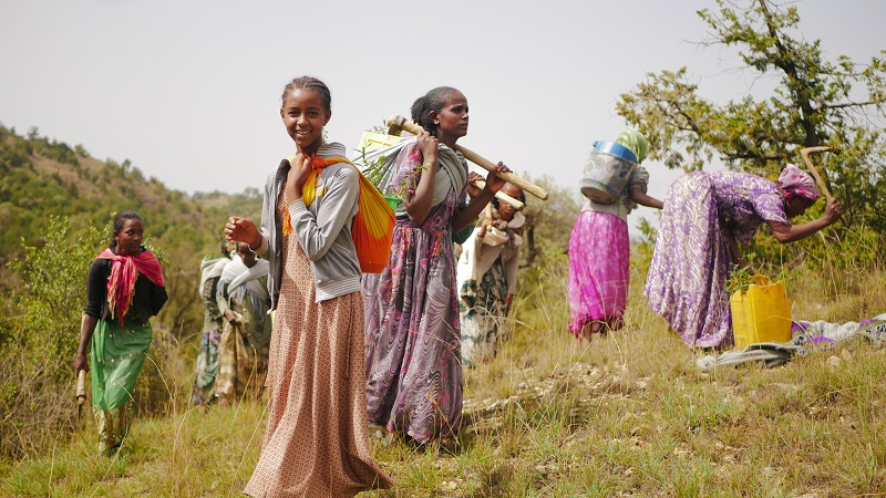 Field work- Women working to restore Desaa landscape