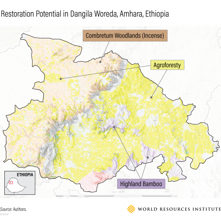 restoration-potential-amhara-ethiopia-wri