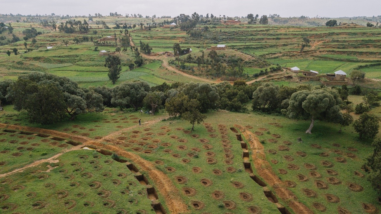 tigray