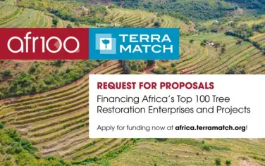 Request For Proposals: Financing Africa’s Top 100 Tree Restoration Enterprises and Projects