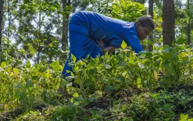 We Need A Moonshot for Africa’s Land Restoration Movement