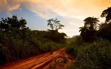 Why is it critical to restore Africa’s degraded landscapes? A glimpse of WWF’s efforts and vision