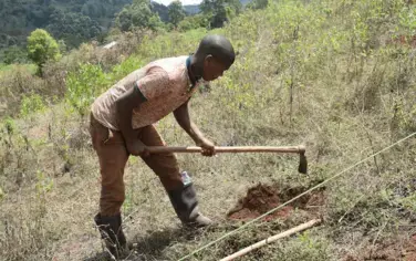 Tanzania: 100,000 Trees in the ground with One Tree Planted