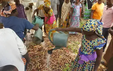 Les petits exploitants agricoles camerounais s'impliquent dans la restauration des paysages forestiers