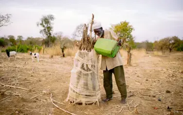 100 million hectares in Africa under restoration by 2030