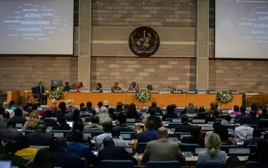GLF Nairobi shines spotlight on communities in Africa restoring degraded landscapes