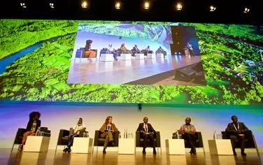 The future of AFR100: Restoration opportunities for young people at the Global Landscapes Forum Bonn 2018