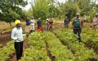 Les Nations Africaines Sont Sur Le Point D’accélérer La Restauration Des Paysages