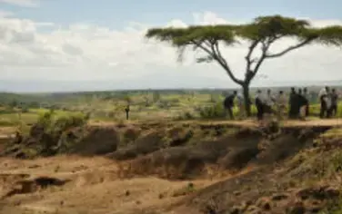 COMMUNIQUE DE PRESSE : Les Pays Africains Annoncent Le Lancement De L’initiative Afr100 Visant À Restaurer 100 Millions D’hectares De Paysages