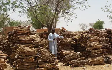 Radio Helps Niger Farmers Bring Life Back to Their Land