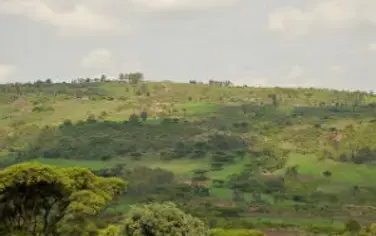 Restaurer Les Paysages Africains Dégradés Tout En Améliorant Les Droits Des Paysans