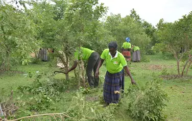 La Tanzanie et le Togo promettent des objectifs de restauration des terres dans le cadre de l’AFR100