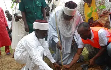 Cameroon: 1 million trees revitalizing a local community