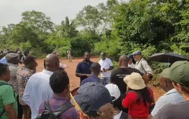 Discovering Ghana's Youth Afforestation Program