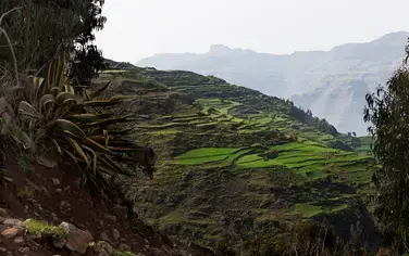 Ethiopian landscape restoration in 3 steps: Motivate, enable and implement