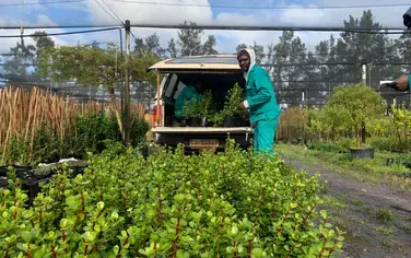 Across Africa, Restoring Land is Climate Action