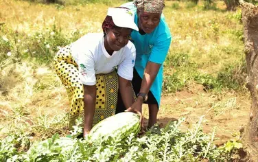 Farm ponds offer a unique integrated solution for Kitui County, Kenya