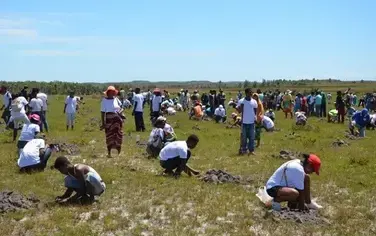 Launching Madagascar’s official reforestation campaign