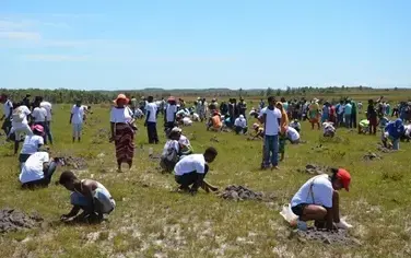 Lancement de la campagne officielle de restauration de Madagascar