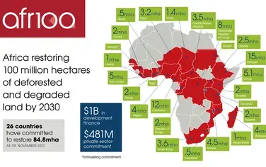Nigeria - Africa's largest economy - backs land restoration with 4-million-hectare pledge