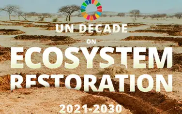 L’AFR100 et la Décennie des Nations Unies pour la restauration des écosystèmes