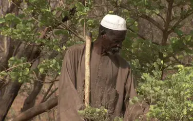 Burkina Faso: The Man Who Stopped the Desert Receives 2018 Right Livelihood Award