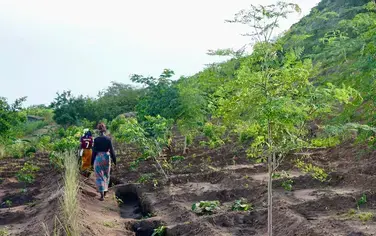 Malawi ups fire awareness in forest reserves