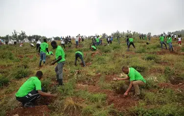 Science must back initiatives to restore Africa’s forests, say experts