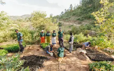 Connecting the People Growing A Trillion Trees the Right Way